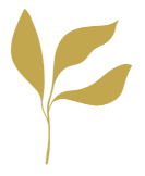 热门资讯 - 问鼎娱乐游戏APP